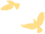 24c04e33dd842c459b60ce5e050c82f8.png